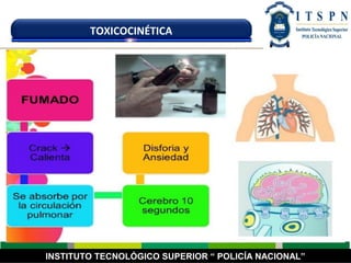 INSTITUTO TECNOLÓGICO SUPERIOR “ POLICÍA NACIONAL”
TOXICOCINÉTICA
 
