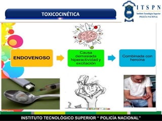 INSTITUTO TECNOLÓGICO SUPERIOR “ POLICÍA NACIONAL”
TOXICOCINÉTICA
 
