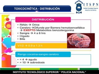 INSTITUTO TECNOLÓGICO SUPERIOR “ POLICÍA NACIONAL”
TOXICOCINÉTICA - DISTRIBUCIÓN
 