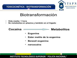 INSTITUTO TECNOLÓGICO SUPERIOR “ POLICÍA NACIONAL”
TOXICOCINÉTICA - BIOTRANSFORMACIÓN
 