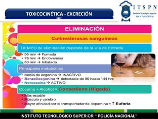 INSTITUTO TECNOLÓGICO SUPERIOR “ POLICÍA NACIONAL”
TOXICOCINÉTICA - EXCRECIÓN
 