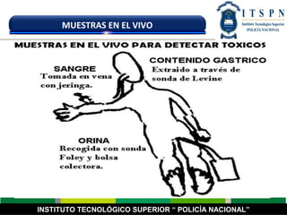 INSTITUTO TECNOLÓGICO SUPERIOR “ POLICÍA NACIONAL”
MUESTRAS EN EL VIVO
 