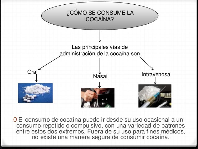 Cocaina UNEFA