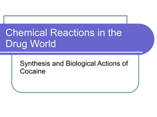 Chemical Reactions in the Drug World Synthesis and Biological Actions of Cocaine 