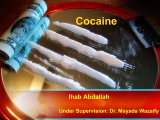 Ihab Abdallah
Under Supervision: Dr. Mayada Wazaify

 
