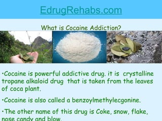 EdrugRehabs.com What is Cocaine Addiction? ,[object Object],[object Object],[object Object]