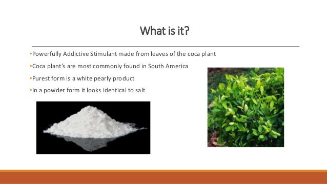 cocaine powerpoint what is cocaine