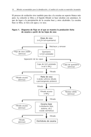 14	 Métodos recomendados para la identificación y el análisis de cocaína en materiales incautados
El proceso de oxidación sirve también para dar a la cocaína un aspecto blanco más
puro. La solución se filtra y el líquido filtrado se hace alcalino con amoníaco, lo
que da lugar a la precipitación de la cocaína base y otros alcaloides. La cocaína
base se filtra, se lava con agua y se seca.
Figura 1. 
Diagrama de flujo en el que se muestra la producción ilícita
de cocaína a partir de las hojas de coca
Filtrado
Clorhidrato de cocaína
Filtrado
(eliminar)
Hojas de coca
(+ H2
O + cal + queroseno)
Machacar y remover
Hoja de coca usada
(eliminar)
Queroseno
(+ H2
O acidulada)
Separación de las capas
Capa de queroseno
(eliminar)
Residuo sólido
(eliminar)
Capa de H2O acidulada
(+ 
cal o NH3
)
Filtrado acuoso
(+ NH3
­)
Filtrado
Filtrado
Filtrado
Pasta de coca
(+ 
ácido sulfúrico diluido
+ permanganato potásico)
Cocaína base
(+ disolvente [éter,
acetona, etc.]
+ ácido clorhídrico)
Filtrado acuoso
(eliminar)
Filtrado acuoso
(eliminar)
 