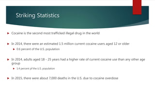 Striking Statistics
 Cocaine is the second most trafficked illegal drug in the world
 In 2014, there were an estimated 1.5 million current cocaine users aged 12 or older
 0.6 percent of the U.S. population
 In 2014, adults aged 18 - 25 years had a higher rate of current cocaine use than any other age
group
 1.4 percent pf the U.S. population
 In 2015, there were about 7,000 deaths in the U.S. due to cocaine overdose
 
