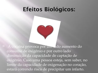 Efeitos Biológicos:
 A cocaína provoca por um lado aumento do
consumo de oxigênio e por outro lado
diminuição da capacidade de captação de
oxigênio. Caso uma pessoa esteja, sem saber, no
limite da capacidade de oxigenação no coração,
estará correndo risco de precipitar um infarto.
 