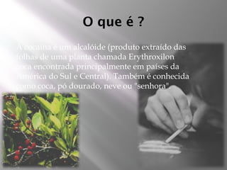 O que é ?
 A cocaína é um alcalóide (produto extraído das
folhas de uma planta chamada Erythroxilon
coca encontrada principalmente em países da
América do Sul e Central). Também é conhecida
como coca, pó dourado, neve ou "senhora".
 