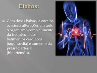    Com doses baixas, a cocaína
    ocasiona alterações em todo
    o organismo como aumento
    da frequência dos
    batimentos cardíacos
    (taquicardia) e aumento da
    pressão arterial
    (hipertensão).
 