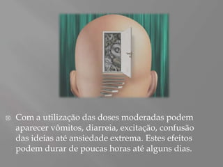    Com a utilização das doses moderadas podem
    aparecer vômitos, diarreia, excitação, confusão
    das ideias até ansiedade extrema. Estes efeitos
    podem durar de poucas horas até alguns dias.
 