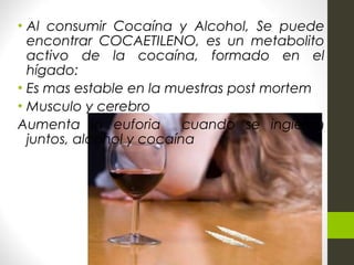 • Al consumir Cocaína y Alcohol, Se puede
encontrar COCAETILENO, es un metabolito
activo de la cocaína, formado en el
hígado:
• Es mas estable en la muestras post mortem
• Musculo y cerebro
Aumenta la euforia cuando se ingieren
juntos, alcohol y cocaína
 
