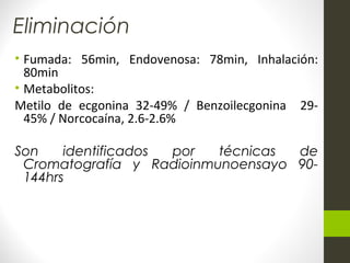 • Fumada: 56min, Endovenosa: 78min, Inhalación:
80min
• Metabolitos:
Metilo de ecgonina 32-49% / Benzoilecgonina 29-
45% / Norcocaína, 2.6-2.6%
Son identificados por técnicas de
Cromatografía y Radioinmunoensayo 90-
144hrs
Eliminación
 