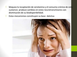  bloquea la recaptación de serotonina y el consumo crónico de esta
sustancia produce cambios en estos neurotransmisores con
disminución de su biodisponibilidad.
 Estos mecanismos constituyen su base Adictiva
 