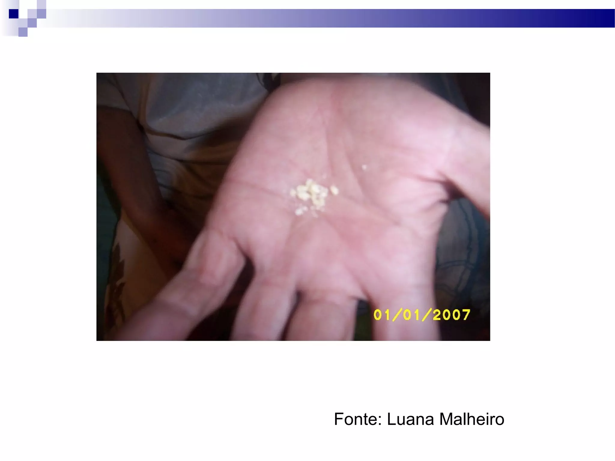 Fonte: Luana Malheiro
 