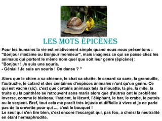 LES mOtS éPICèNES
Pour les humains la vie est relativement simple quand nous nous présentons :
"Bonjour madame ou Bonjour monsieur", mais imaginez ce qui se passe chez les
animaux qui portent le même nom quel que soit leur genre (épicène) :
"Bonjour ! Je suis une souris.
- Génial ! Je suis un souris ! On danse ? "
Alors que le chien a sa chienne, le chat sa chatte, le canard sa cane, la grenouille,
l'autruche, le cafard et des centaines d'espèces animales n'ont qu'un genre. Ce
qui est vache (sic), c'est que certains animaux tels la mouette, la pie, la mite, la
truite ou la panthère se retrouvent sans maris alors que d'autres ont le problème
inverse, comme le blaireau, l'asticot, le lézard, l'éléphant, le bar, le crabe, le putois
ou le serpent. Bref, tout cela me paraît très injuste et difficile à vivre et je ne parle
pas de la crevette pour qui .... c'est le bouquet !
Le seul qui s'en tire bien, c'est encore l'escargot qui, pas fou, a choisi la neutralité
en étant hermaphrodite.
 