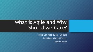 What is Agile and Why
Should we Care?
Tech Connect 2018 – Dublin
Cristiane (Coca) Pitzer
Agile Coach
 