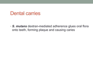 Dental carries

• S. mutans dextran-mediated adherence glues oral flora
 onto teeth, forming plaque and causing caries
 