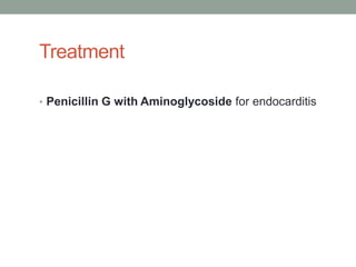 Treatment

• Penicillin G with Aminoglycoside for endocarditis
 