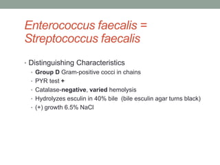 Enterococcus faecalis =
Streptococcus faecalis
• Distinguishing Characteristics
  • Group D Gram-positive cocci in chains
  • PYR test +
  • Catalase-negative, varied hemolysis
  • Hydrolyzes esculin in 40% bile (bile esculin agar turns black)
  • (+) growth 6.5% NaCl
 
