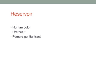 Reservoir

• Human colon
• Urethra 
• Female genital tract
 