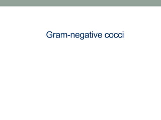 Gram-negative cocci
 