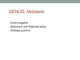 GENUS: Neisseria

• Gram-negative
• Diplococci with flattened sides
• Oxidase positive
 