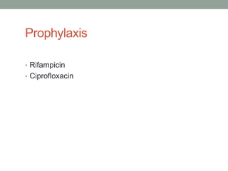 Prophylaxis

• Rifampicin
• Ciprofloxacin
 