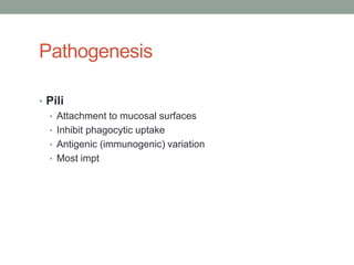 Pathogenesis

• Pili
  • Attachment to mucosal surfaces
  • Inhibit phagocytic uptake
  • Antigenic (immunogenic) variation
  • Most impt
 