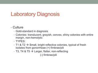 Laboratory Diagnosis

• Culture
  • Gold-standard in diagnosis
  • Colonies: translucent, grayish, convex, shiny colonies with entire
    margin, non-hemolytic
  • TYPES:
  • T1 & T2  Small, bright reflective colonies, typical of fresh
    isolates from gonorrheae (+) fimbrae/pili
  • T3, T4 & T5  Larger, flatter, non-reflecting
                        (-) fimbrae/pili
 