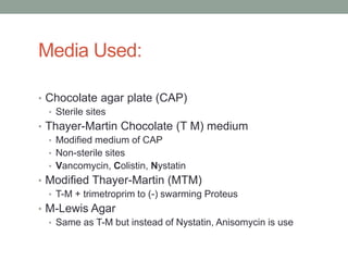Media Used:

• Chocolate agar plate (CAP)
  • Sterile sites
• Thayer-Martin Chocolate (T M) medium
  • Modified medium of CAP
  • Non-sterile sites
  • Vancomycin, Colistin, Nystatin
• Modified Thayer-Martin (MTM)
  • T-M + trimetroprim to (-) swarming Proteus
• M-Lewis Agar
  • Same as T-M but instead of Nystatin, Anisomycin is use
 