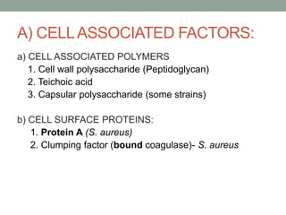 A) CELL ASSOCIATED FACTORS:
a) CELL ASSOCIATED POLYMERS
   1. Cell wall polysaccharide (Peptidoglycan)
   2. Teichoic acid
   3. Capsular polysaccharide (some strains)

b) CELL SURFACE PROTEINS:
   1. Protein A (S. aureus)
   2. Clumping factor (bound coagulase)- S. aureus
 