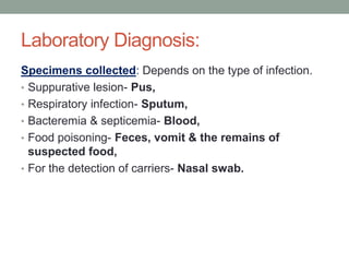 Laboratory Diagnosis:
Specimens collected: Depends on the type of infection.
• Suppurative lesion- Pus,
• Respiratory infection- Sputum,
• Bacteremia & septicemia- Blood,
• Food poisoning- Feces, vomit & the remains of
  suspected food,
• For the detection of carriers- Nasal swab.
 