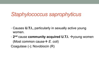 Staphylococcus saprophyticus

• Causes U.T.I., particularly in sexually active young
  women.
• 2nd cause community acquired U.T.I. young women
  (Most common cause E. coli)
Coagulase (-); Novobiocin (R)
 