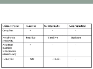 Characteristics   S.aureus    S.epidermidis    S.saprophyticus
Coagulase            +              -               -

Novobiocin        Sensitive      Sensitive       Resistant
sensitivity
Acid from            +              -               -
mannitol
fermentation
anaerobically
Hemolysis            beta           - (most)        -
 