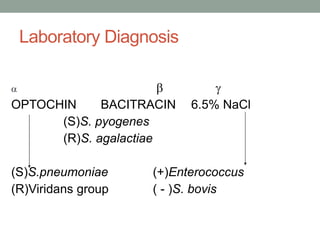 Laboratory Diagnosis

                             
OPTOCHIN     BACITRACIN    6.5% NaCl
      (S)S. pyogenes
      (R)S. agalactiae

(S)S.pneumoniae     (+)Enterococcus
(R)Viridans group   ( - )S. bovis
 