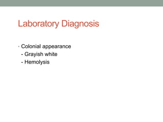 Laboratory Diagnosis

• Colonial appearance
 - Grayish white
 - Hemolysis
 
