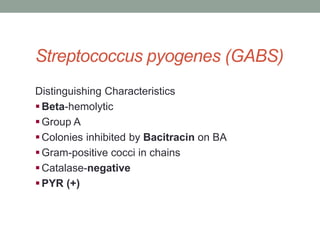 Streptococcus pyogenes (GABS)
Distinguishing Characteristics
 Beta-hemolytic
 Group A
 Colonies inhibited by Bacitracin on BA
 Gram-positive cocci in chains
 Catalase-negative
 PYR (+)
 