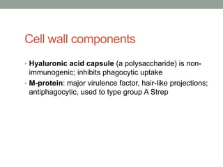Cell wall components
• Hyaluronic acid capsule (a polysaccharide) is non-
  immunogenic; inhibits phagocytic uptake
• M-protein: major virulence factor, hair-like projections;
  antiphagocytic, used to type group A Strep
 