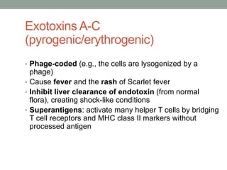 Exotoxins A-C
(pyrogenic/erythrogenic)
• Phage-coded (e.g., the cells are lysogenized by a
  phage)
• Cause fever and the rash of Scarlet fever
• Inhibit liver clearance of endotoxin (from normal
  flora), creating shock-like conditions
• Superantigens: activate many helper T cells by bridging
  T cell receptors and MHC class II markers without
  processed antigen
 