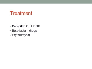 Treatment

• Penicillin G  DOC
• Beta-lactam drugs
• Erythromycin
 
