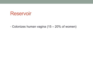 Reservoir

• Colonizes human vagina (15 – 20% of women)
 