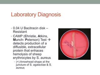 Laboratory Diagnosis

• 0.04 U Bacitracin disk –
  Resistant
• CAMP (Christie, Atkins,
  Munch- Peterson) Test 
  detects production of a
  diffusible, extracellular
  protein that enhaces
  hemolysis of sheep
  erythrocytes by S. aureus
  • (+) Arrowhead shape at the
   juncture of S. agalactiae & S.
   aureus
 