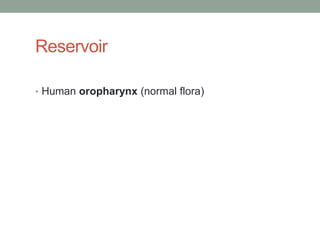 Reservoir

• Human oropharynx (normal flora)
 