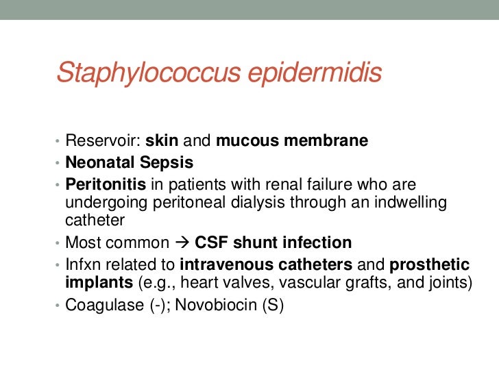 does bactrim treat staph epidermidis