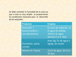 Se debe controlar la humedad de la cama ya
que si esta es muy amplia se proporcionan
las condiciones necesaria para el desarrollo
de los ooquistes.
Producto Empleo
Oversulfa (
bacteriostático –
coccidiostatico)
En aves de engorda en
el agua de bebida
10ml/L de agua
durante 3 o 4 días
Overbiotic polvo
soluble
Aves 5g/ 2L de agua o
5g/kg de ración
Minera vit fuerte 1cc/L de agua de 15 a
30 dias
 
