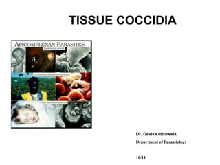 TISSUE COCCIDIA
Dr. Devika Iddawela
Department of Parasitology
10/11
 