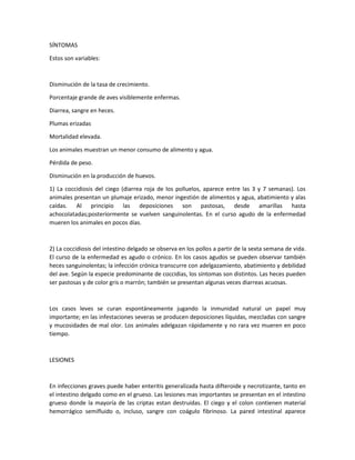 SÍNTOMAS
Estos son variables:
Disminución de la tasa de crecimiento.
Porcentaje grande de aves visiblemente enfermas.
Diarrea, sangre en heces.
Plumas erizadas
Mortalidad elevada.
Los animales muestran un menor consumo de alimento y agua.
Pérdida de peso.
Disminución en la producción de huevos.
1) La coccidiosis del ciego (diarrea roja de los polluelos, aparece entre las 3 y 7 semanas). Los
animales presentan un plumaje erizado, menor ingestión de alimentos y agua, abatimiento y alas
caídas. Al principio las deposiciones son pastosas, desde amarillas hasta
achocolatadas;posteriormente se vuelven sanguinolentas. En el curso agudo de la enfermedad
mueren los animales en pocos días.
2) La coccidiosis del intestino delgado se observa en los pollos a partir de la sexta semana de vida.
El curso de la enfermedad es agudo o crónico. En los casos agudos se pueden observar también
heces sanguinolentas; la infección crónica transcurre con adelgazamiento, abatimiento y debilidad
del ave. Según la especie predominante de coccidias, los síntomas son distintos. Las heces pueden
ser pastosas y de color gris o marrón; también se presentan algunas veces diarreas acuosas.
Los casos leves se curan espontáneamente jugando la inmunidad natural un papel muy
importante; en las infestaciones severas se producen deposiciones líquidas, mezcladas con sangre
y mucosidades de mal olor. Los animales adelgazan rápidamente y no rara vez mueren en poco
tiempo.
LESIONES
En infecciones graves puede haber enteritis generalizada hasta difteroide y necrotizante, tanto en
el intestino delgado como en el grueso. Las lesiones mas importantes se presentan en el intestino
grueso donde la mayoría de las criptas estan destruidas. El ciego y el colon contienen material
hemorrágico semifluido o, incluso, sangre con coágulo fibrinoso. La pared intestinal aparece
 